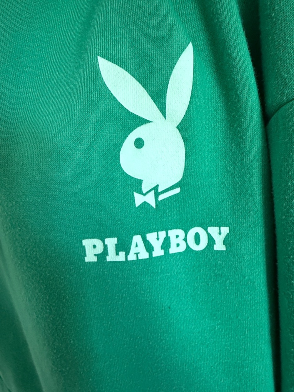 PLAYBOY Emerald Green Logo Pullover Hoodie - Picture 2 of 7